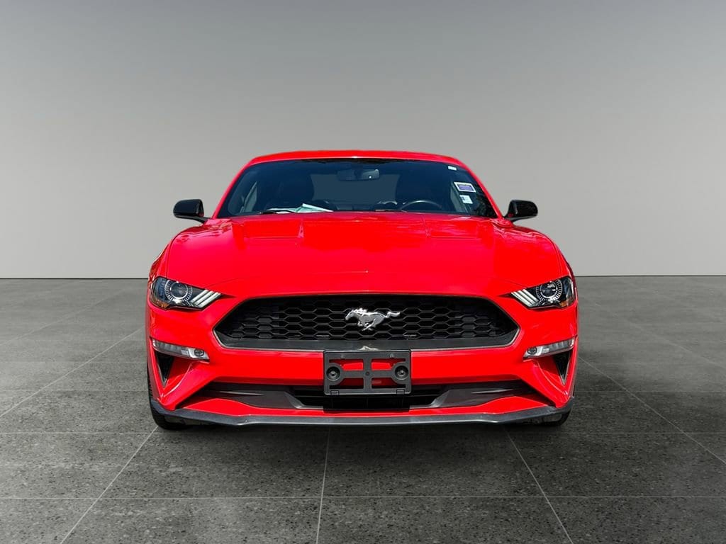 Used 2019 Ford Mustang EcoBoost Premium with VIN 1FA6P8TH7K5123859 for sale in Tacoma, WA