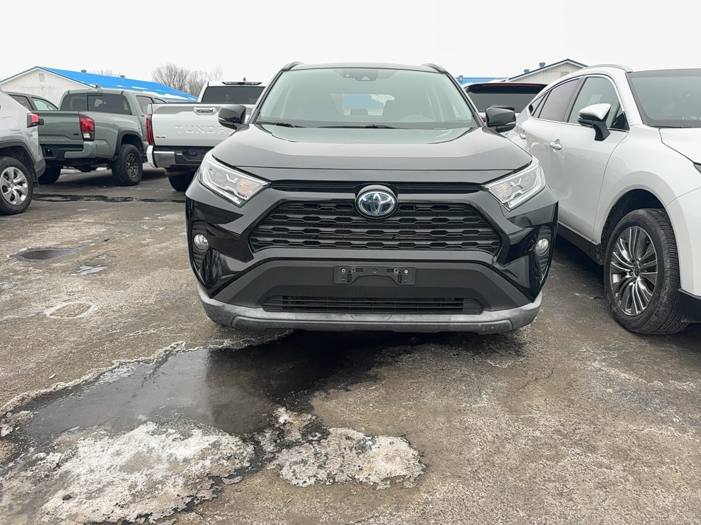2020 Toyota RAV4 XLE