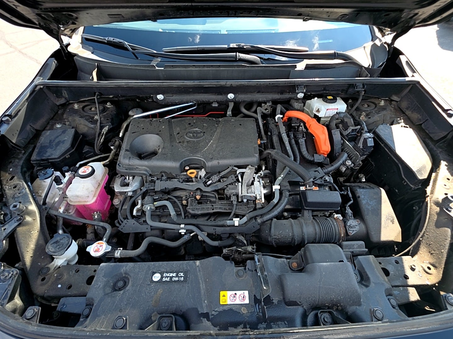 2020 Toyota RAV4 XLE - Photo 19