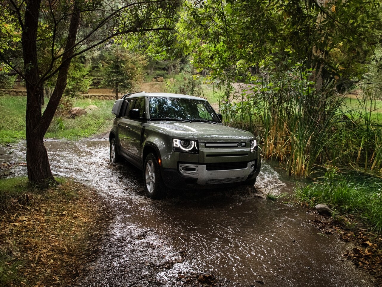 Defender