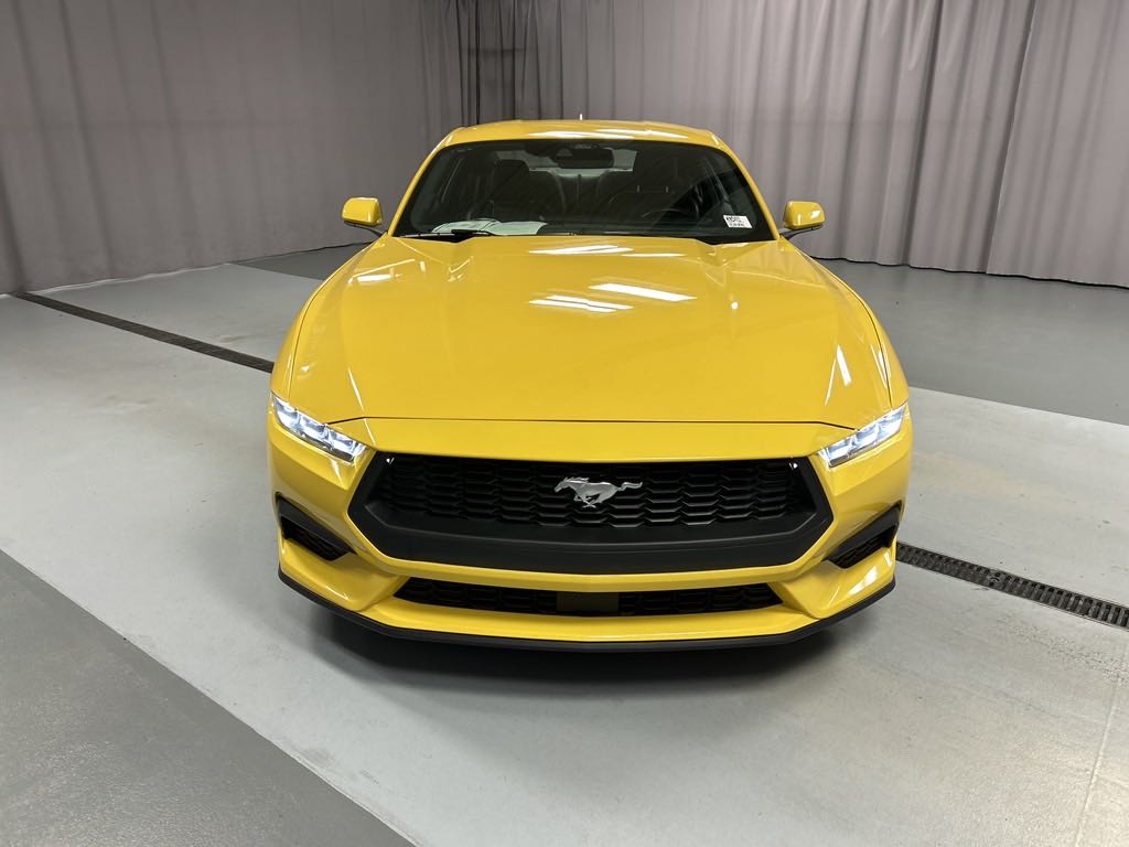 Used 2024 Ford Mustang EcoBoost Premium with VIN 1FA6P8TH1R5113662 for sale in Lima, OH