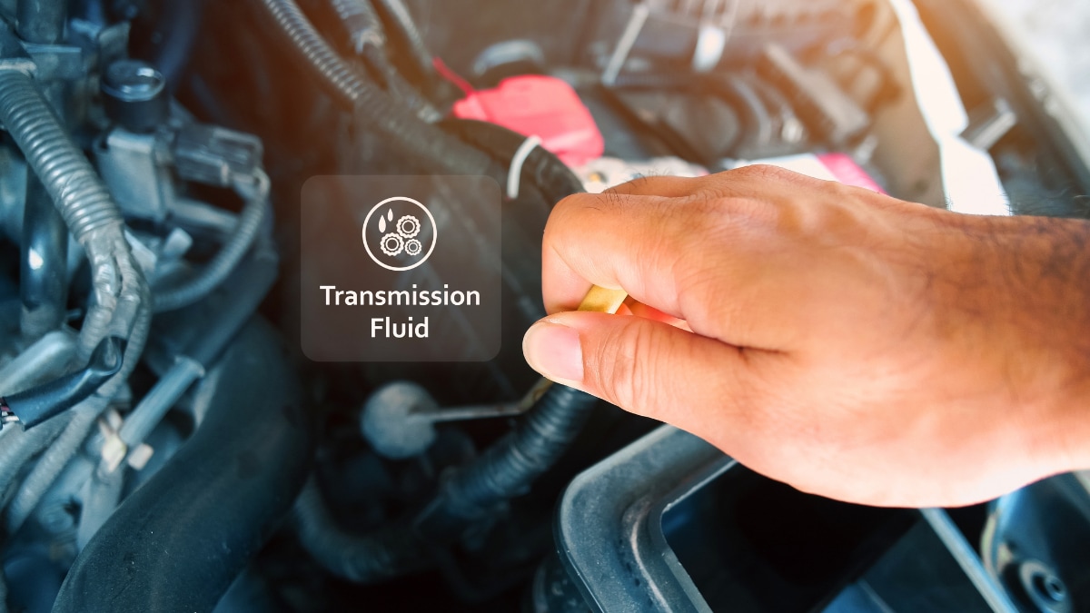 A service technician checking a vehicle's transmission fluid