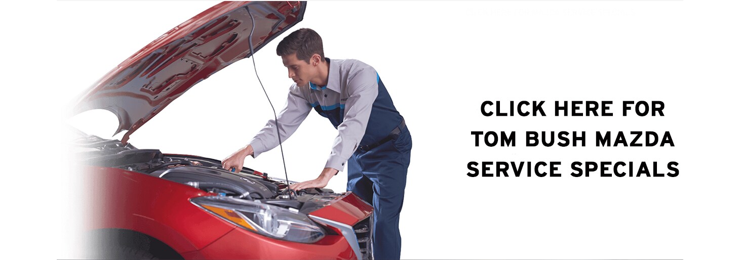 Used Cars Brunswick Ga >> New and Used Mazda dealership in Jacksonville | Tom Bush ... Used Cars Brunswick Ga >> New and Used Mazda dealership in Jacksonville | Tom Bush ...