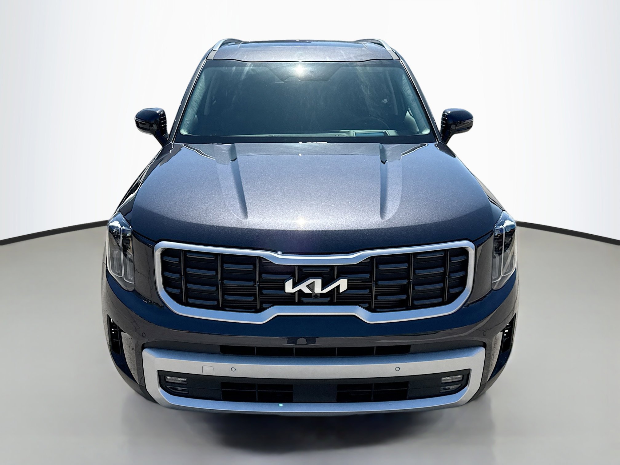 2025 Kia Telluride SX Prestige - Photo 11