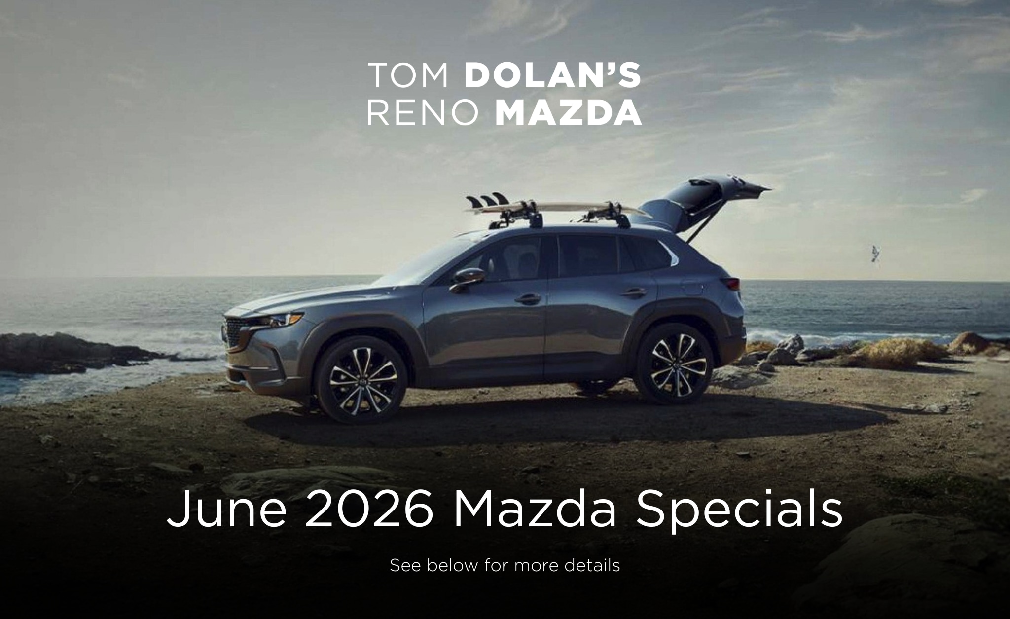 Specials%20(2048%20x%201255%20px)%20(15).png