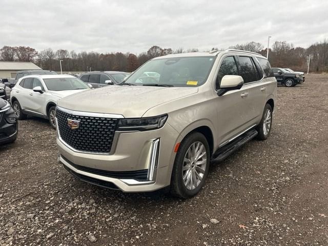 2024 Cadillac Escalade Premium Luxury's photo