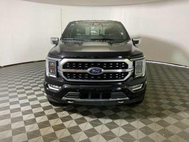 2023 Ford F-150 XL photo 3