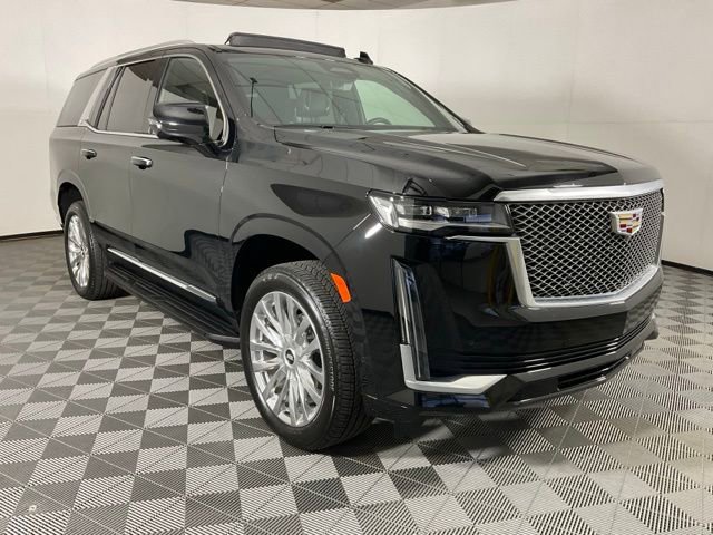 2024 Cadillac Escalade Premium Luxury photo 3