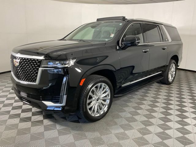 2024 Cadillac Escalade ESV Premium Luxury's photo