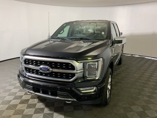 2023 Ford F-150 XL photo 4