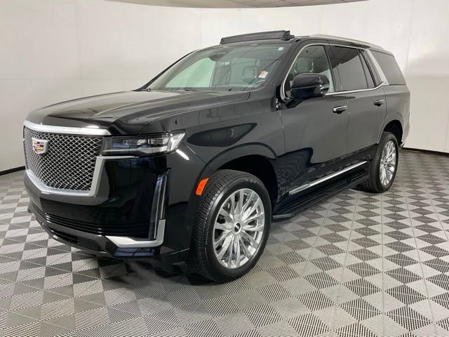 2024 Cadillac Escalade Premium Luxury's photo