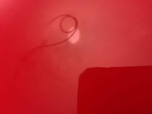 2026 Chevrolet Corvette 1LZ - Photo 29