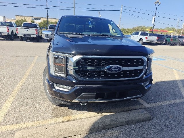 2021 Ford F-150 Platinum photo 2