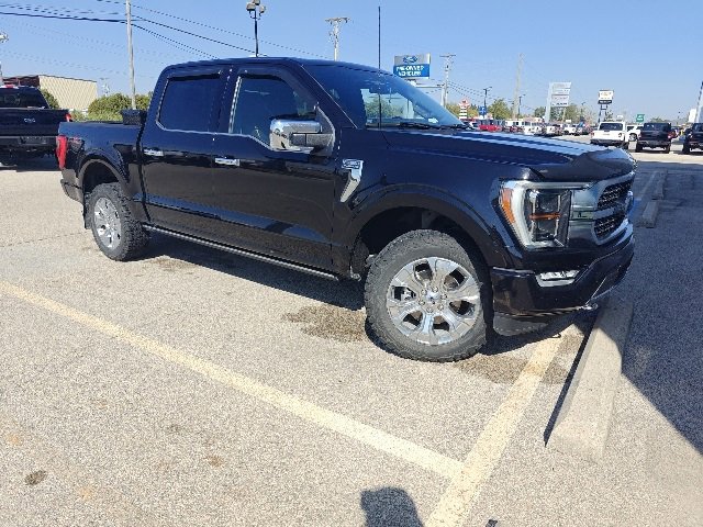 2021 Ford F-150 Platinum photo 3