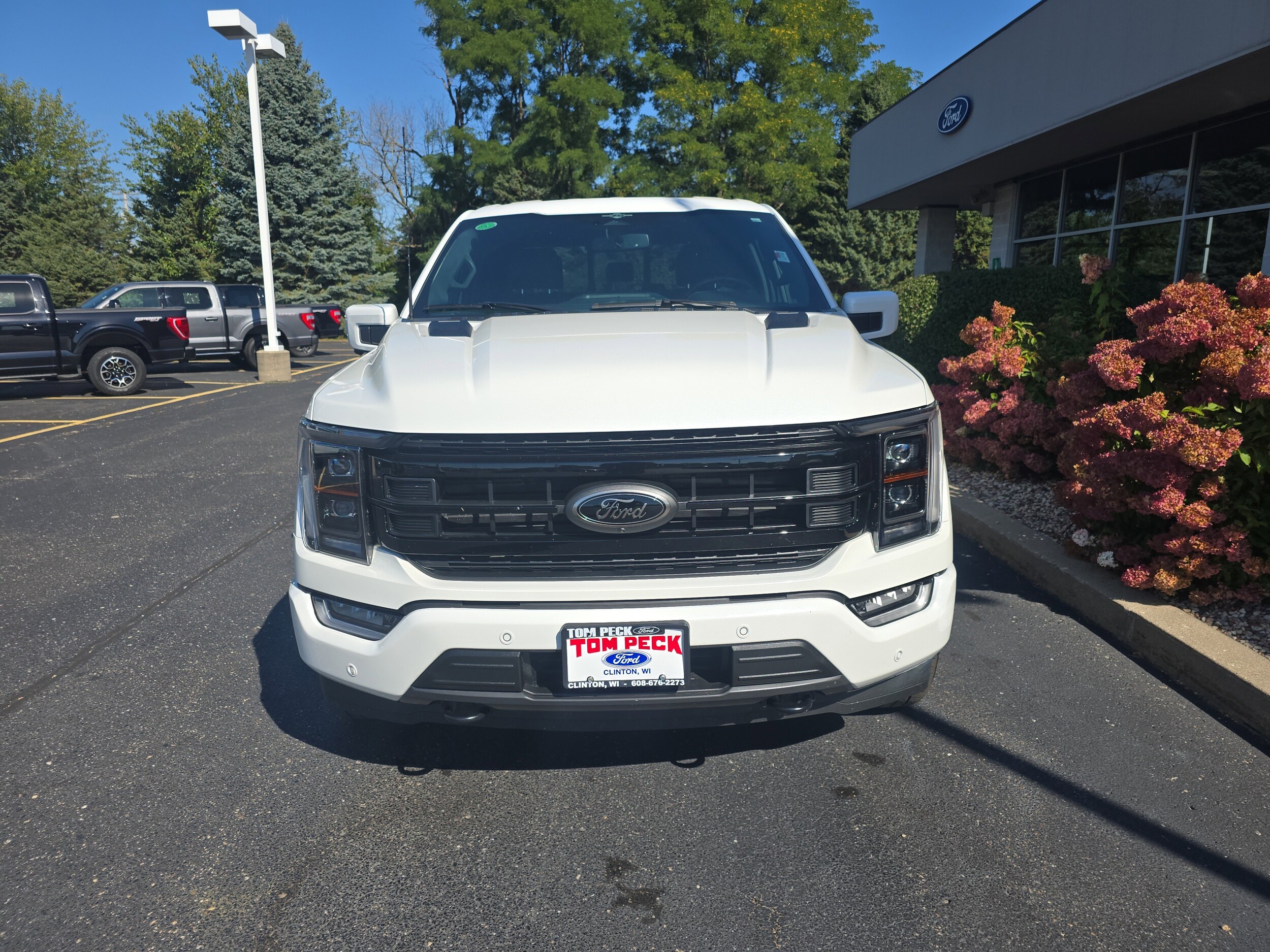 2023 Ford F-150 Platinum photo 4