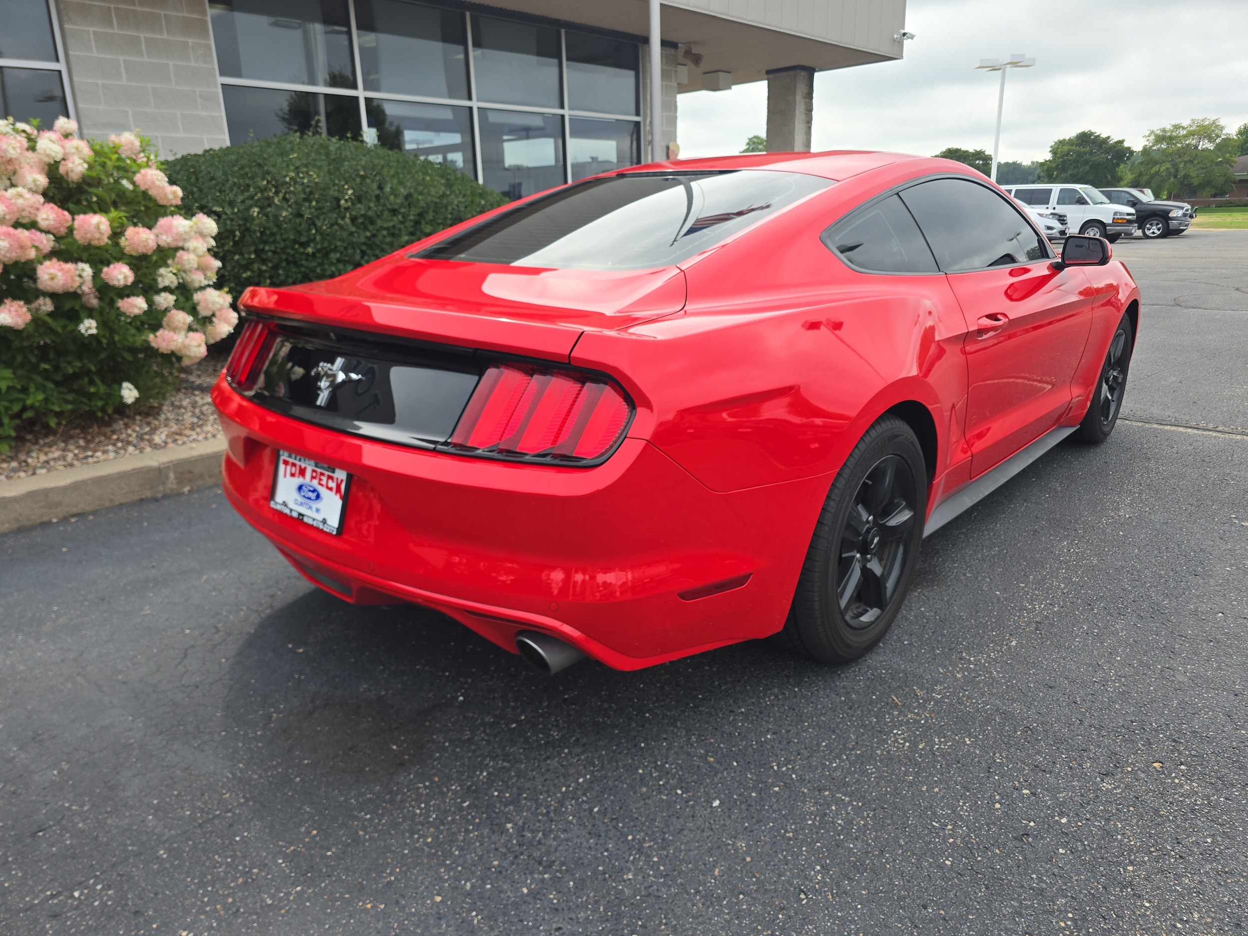 Used 2017 Ford Mustang V6 with VIN 1FA6P8AMXH5309355 for sale in Clinton, WI