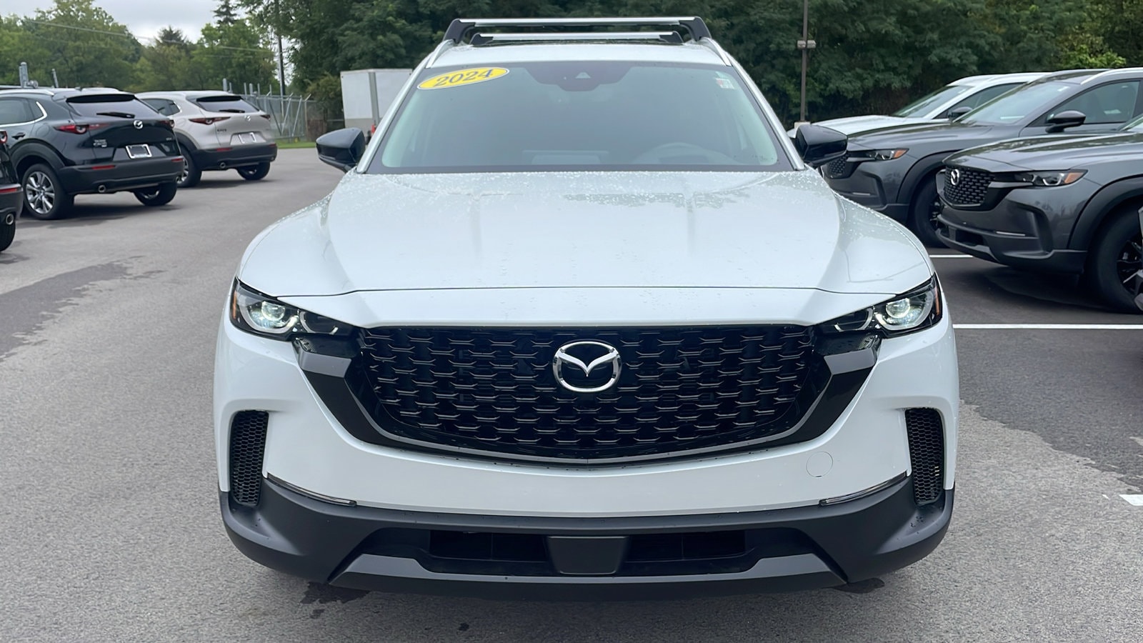 Certified 2024 Mazda CX-50 S PREMIUM PLUS with VIN 7MMVABEM3RN165342 for sale in Westfield, IN