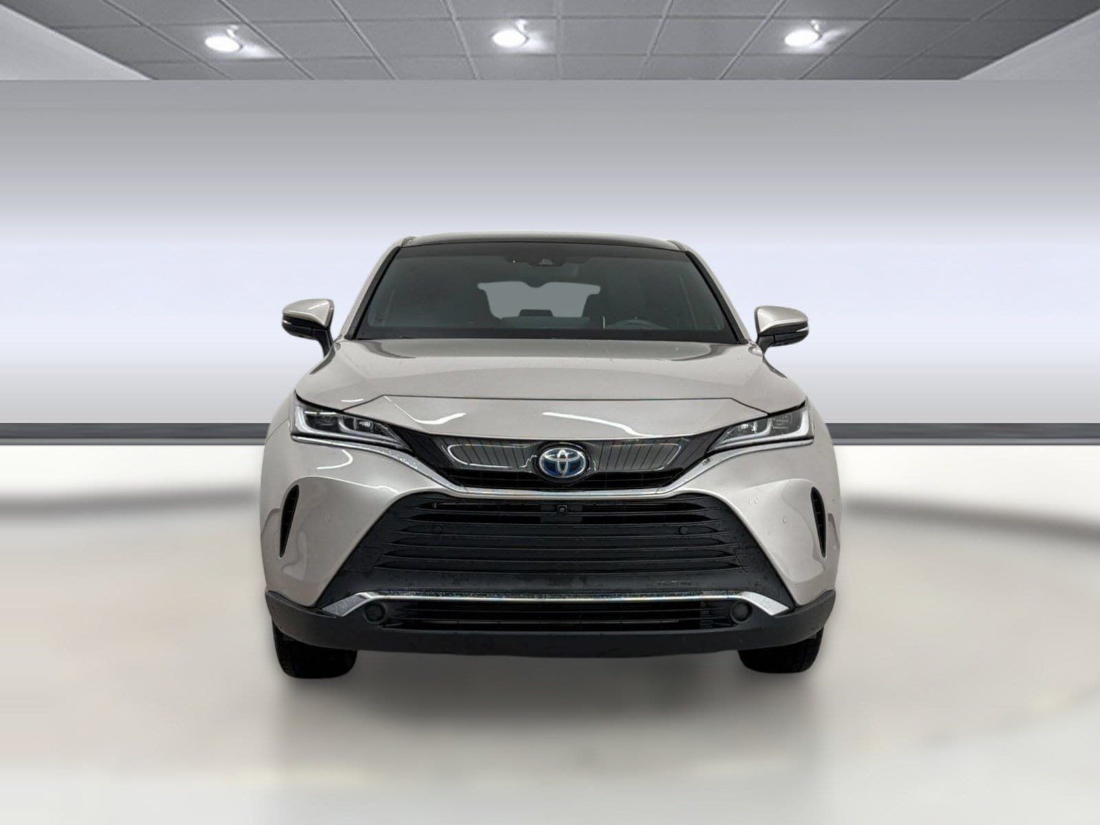 Venza Limited SUV
