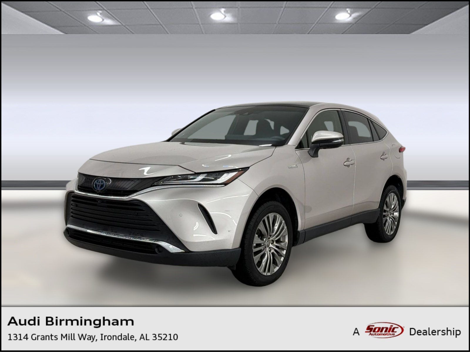 Venza Limited SUV