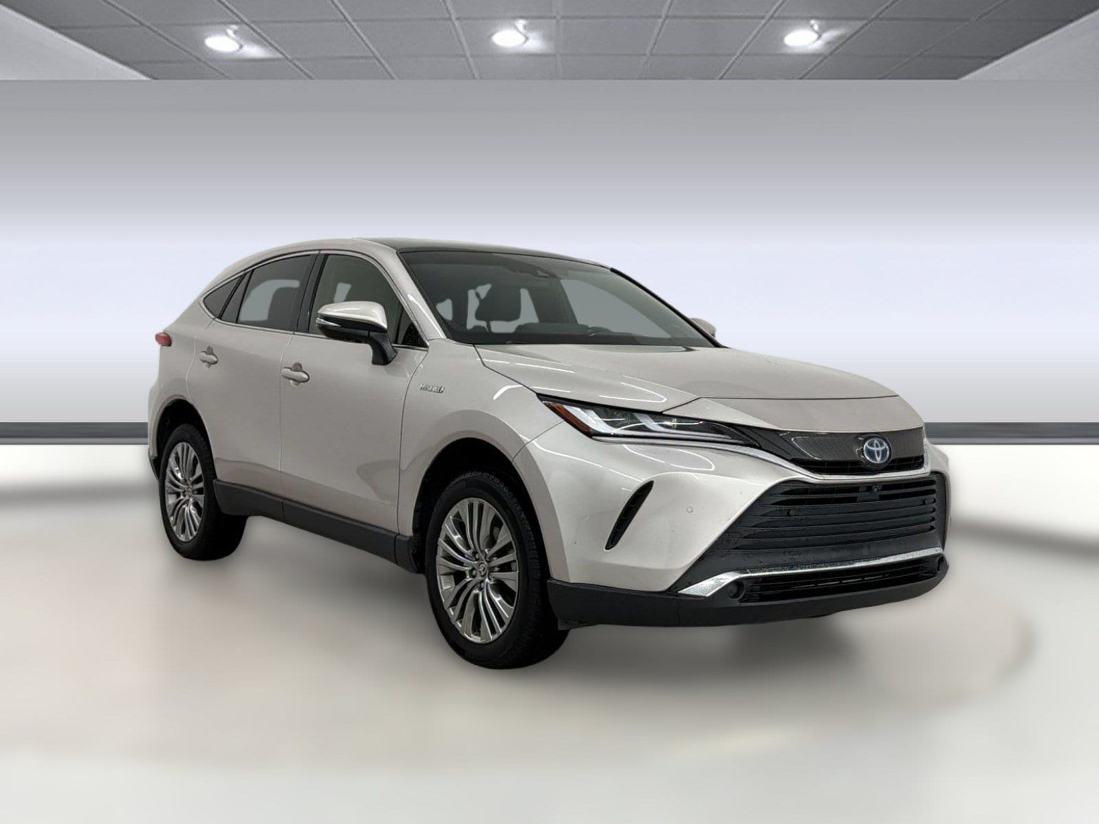 Venza Limited SUV