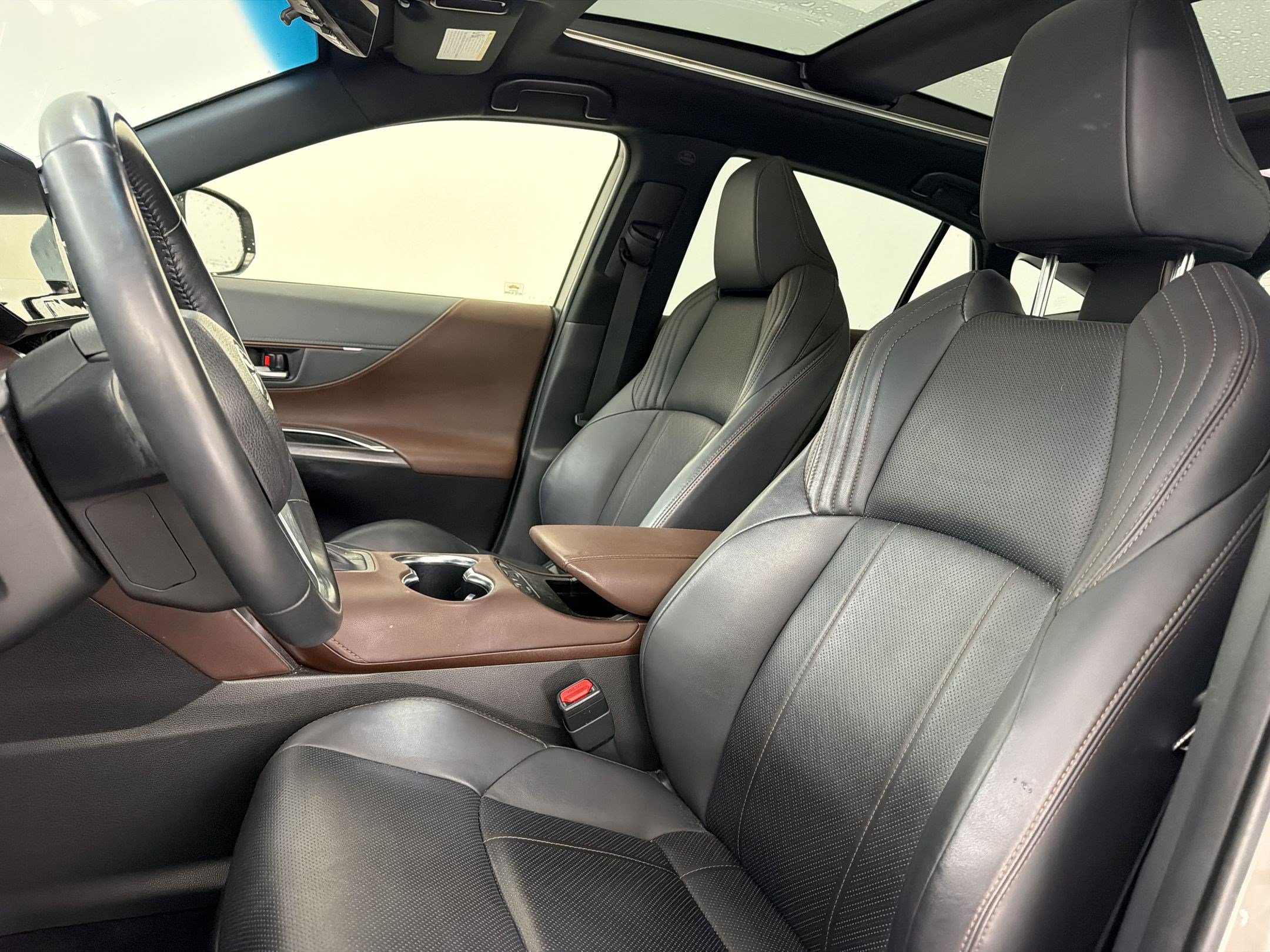 Venza Limited SUV