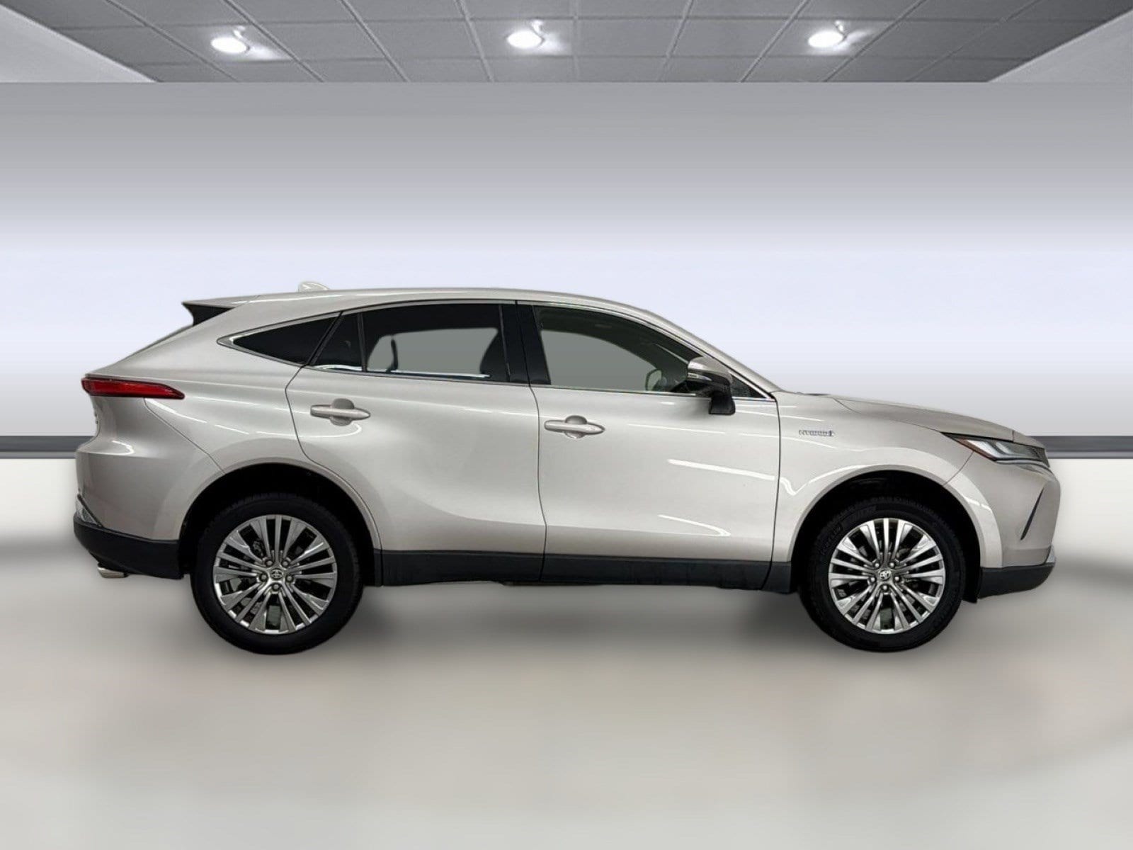 Venza Limited SUV