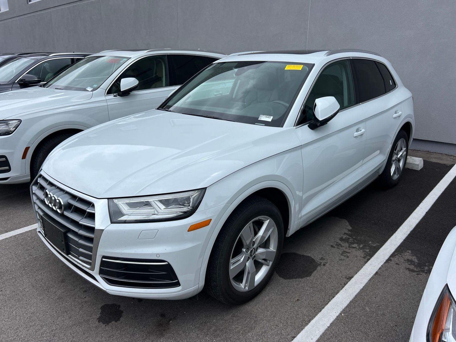 2019 Audi Q5 2.0T quattro S tronic Premium Plus's photo