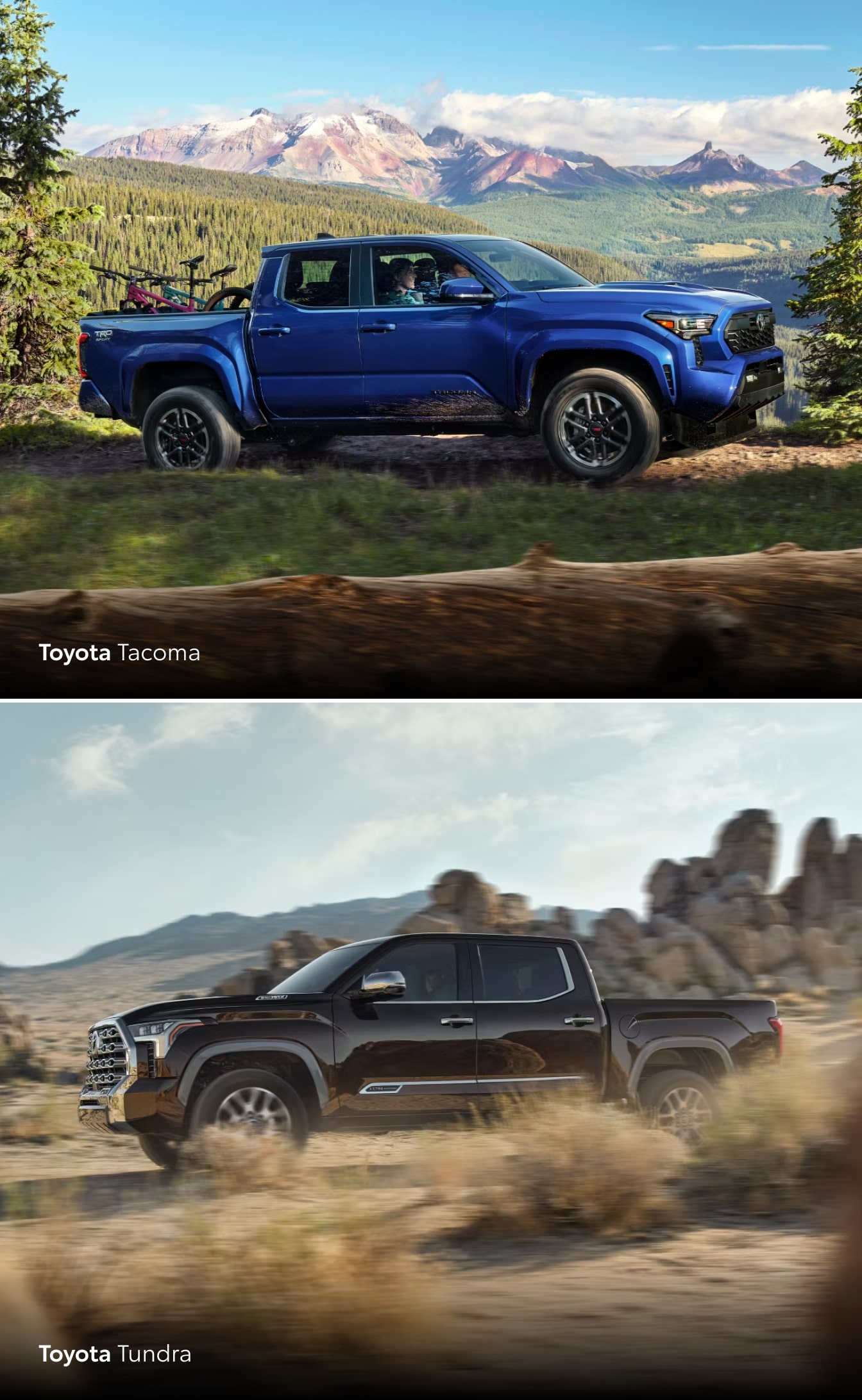 Toyota Tundra vs. Tacoma Dimensions