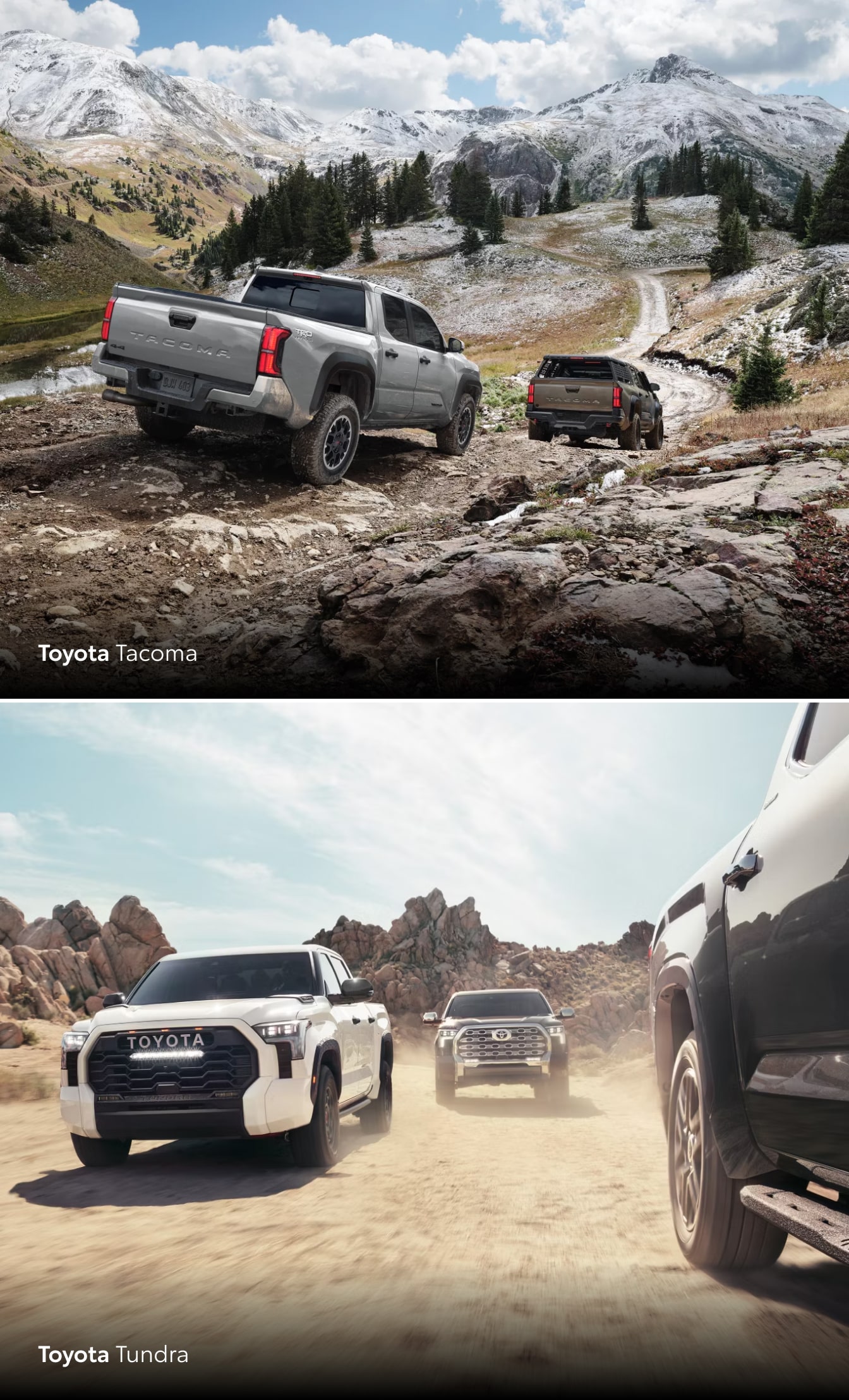 Toyota Tacoma vs. Toyota Tundra Colors