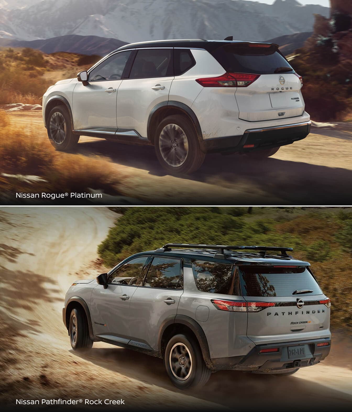 Nissan Rogue Platinum and Pathfinder Rock Creek SUVs rear view in desert landscape