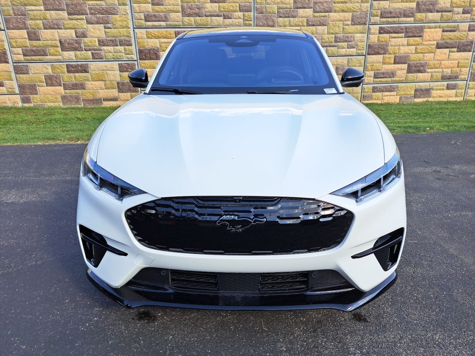 2025 Ford Mustang Mach-E GT - Photo 11