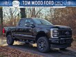  Ford Super Duty F-250 SRW