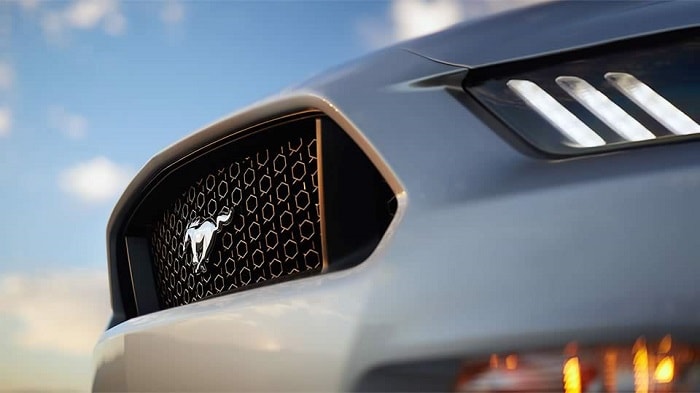 2017-Ford-Mustang-GT-Horse-Detail.jpg