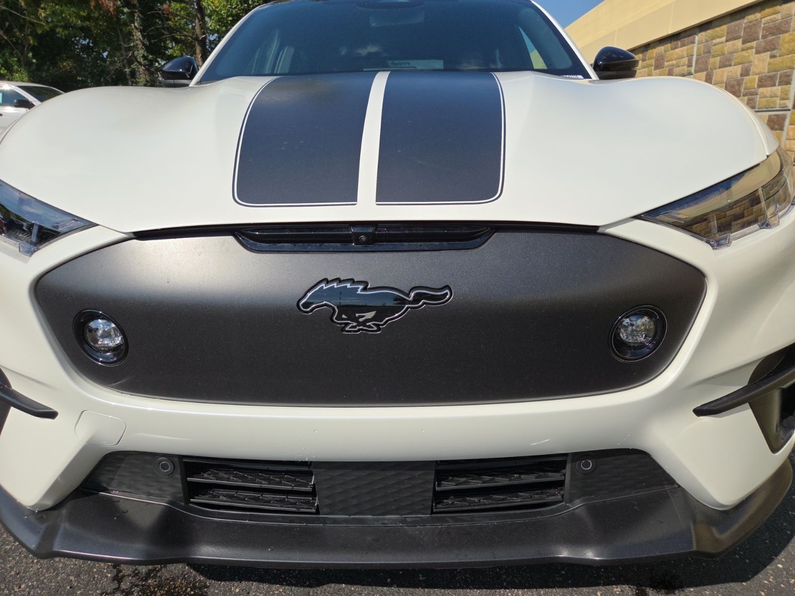 2025 Ford Mustang Mach-E GT - Photo 7