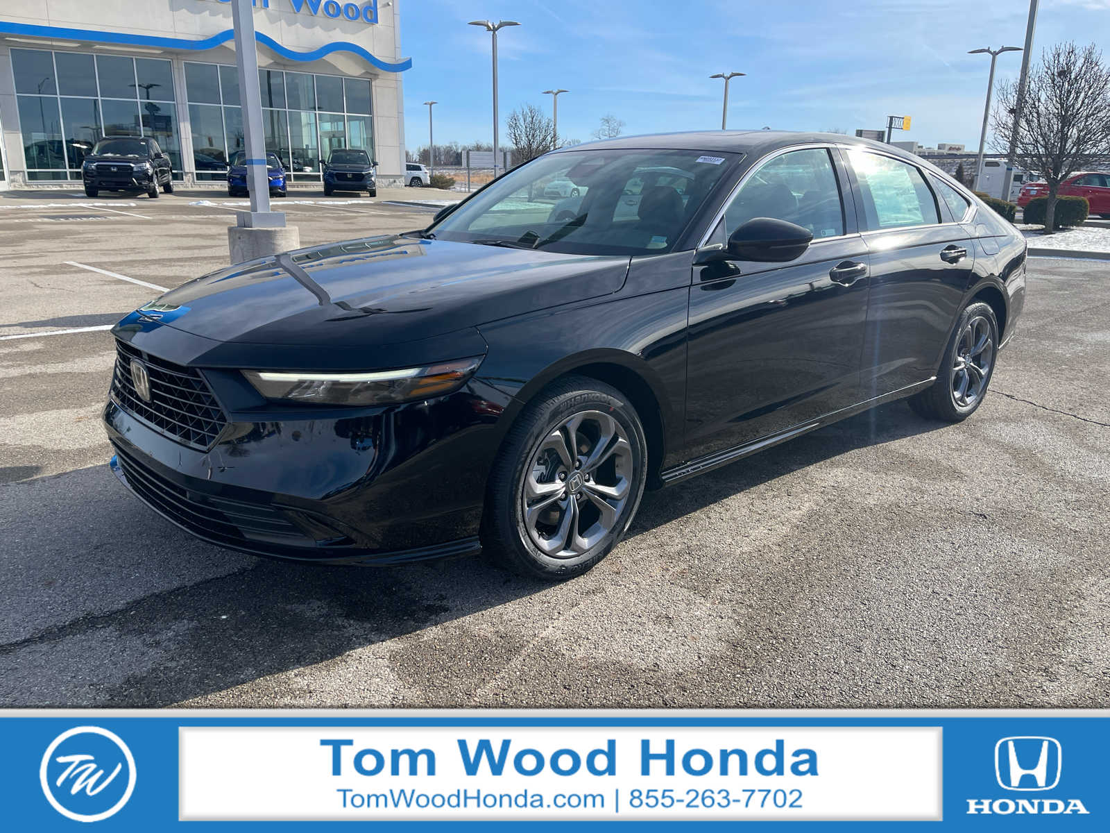 2025 Honda Accord Hybrid EX-L's photo