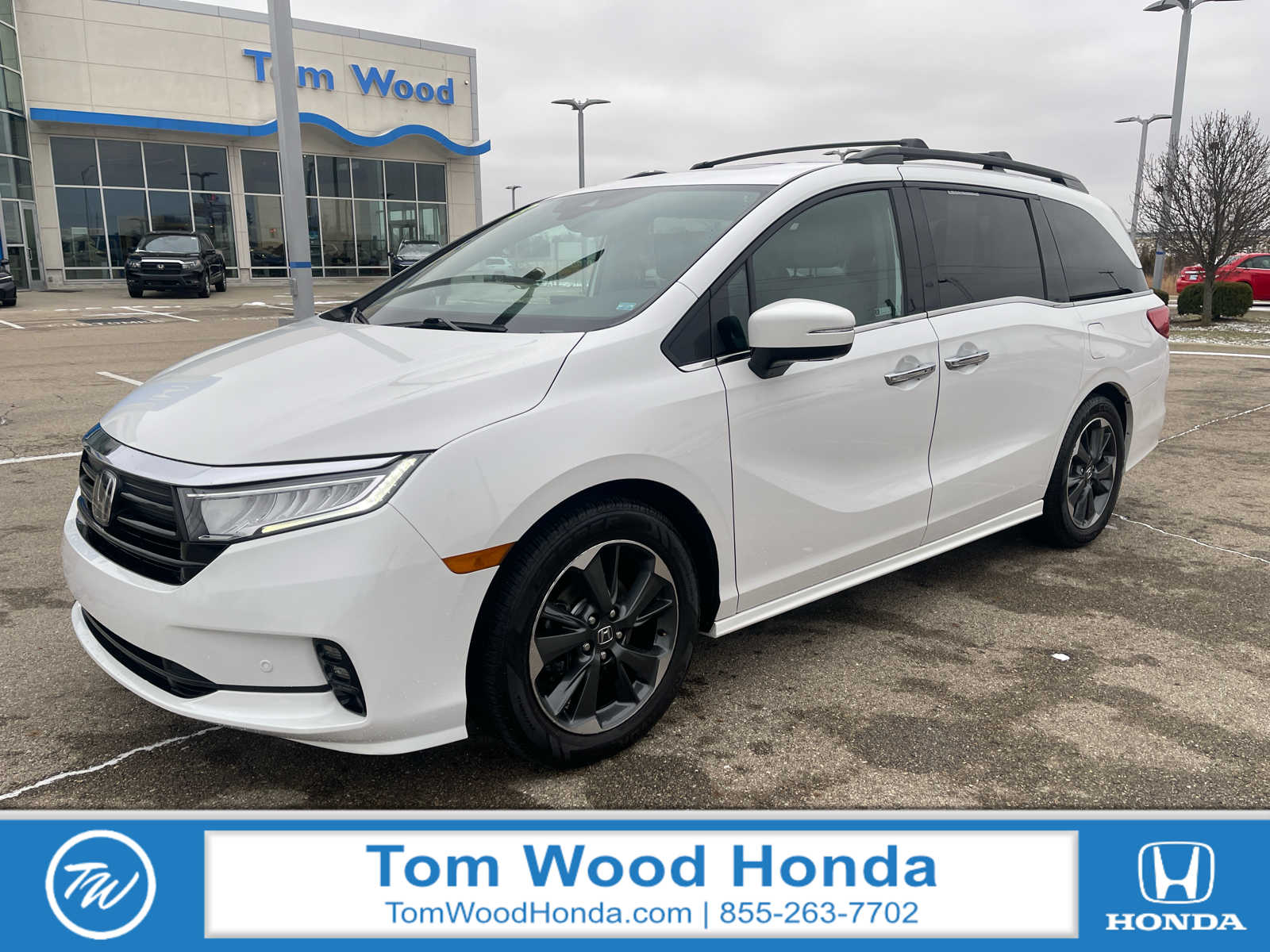 2023 Honda Odyssey Elite's photo