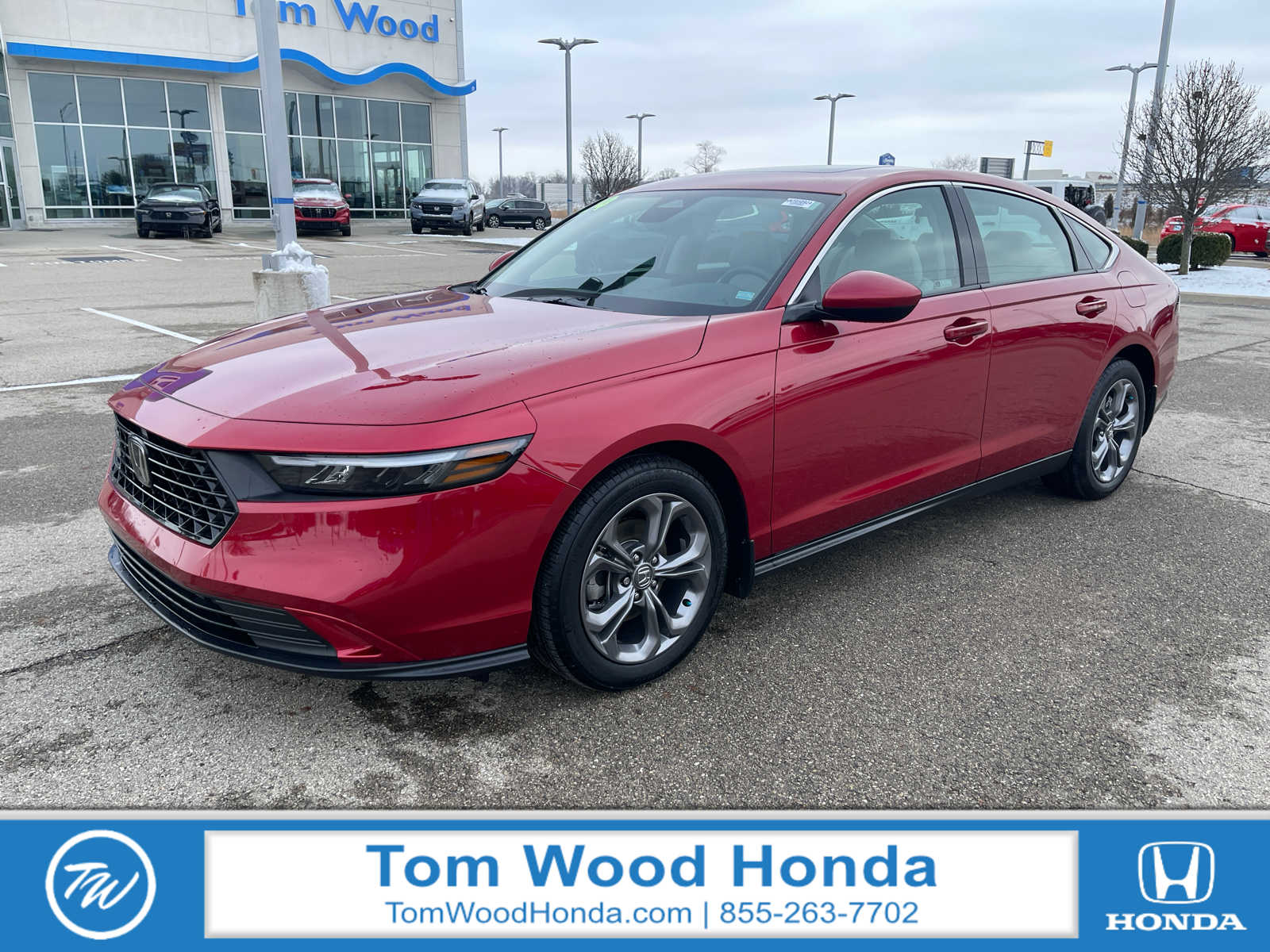 2024 Honda Accord EX's photo