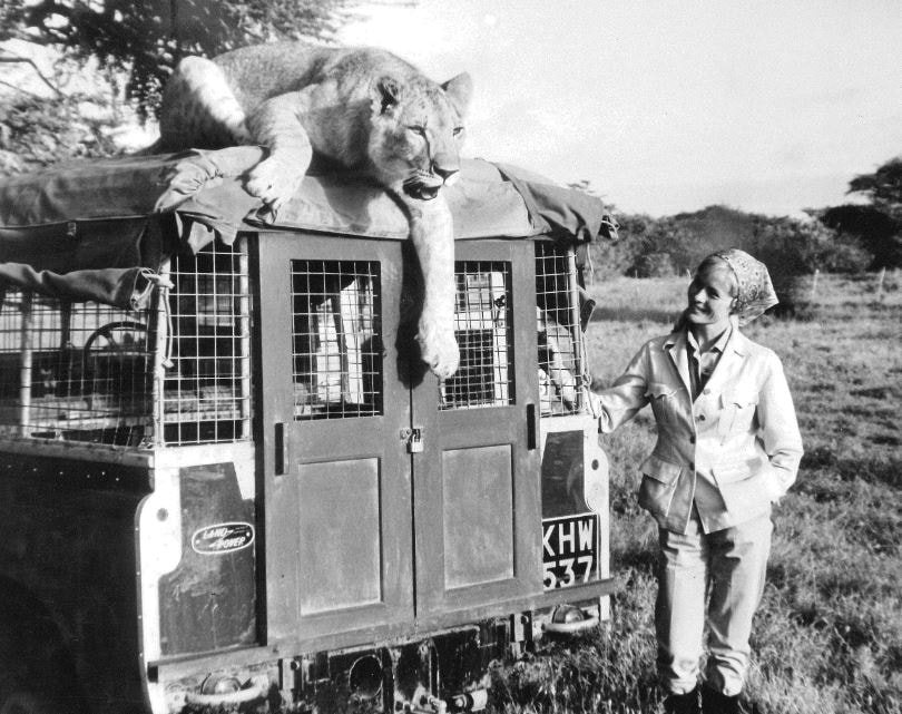 Land Rover Born Free 2.JPG