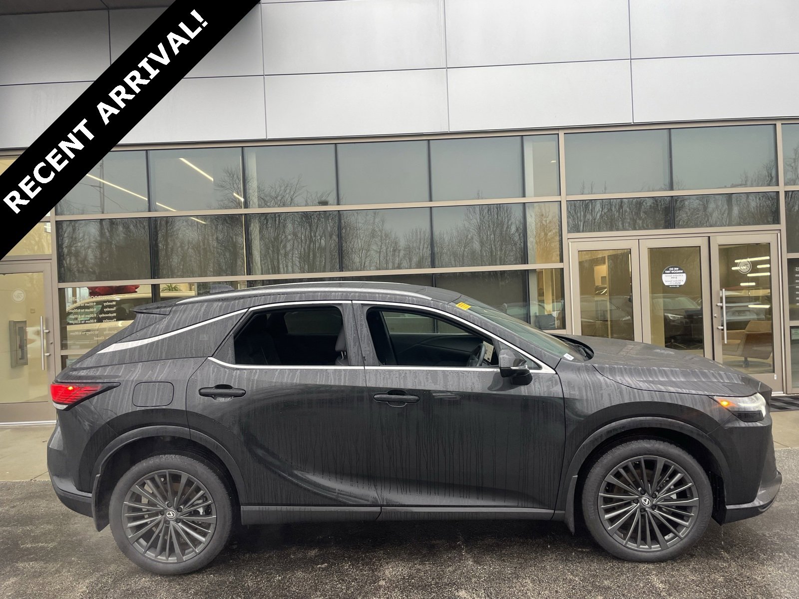 2024 Lexus RX 350's photo