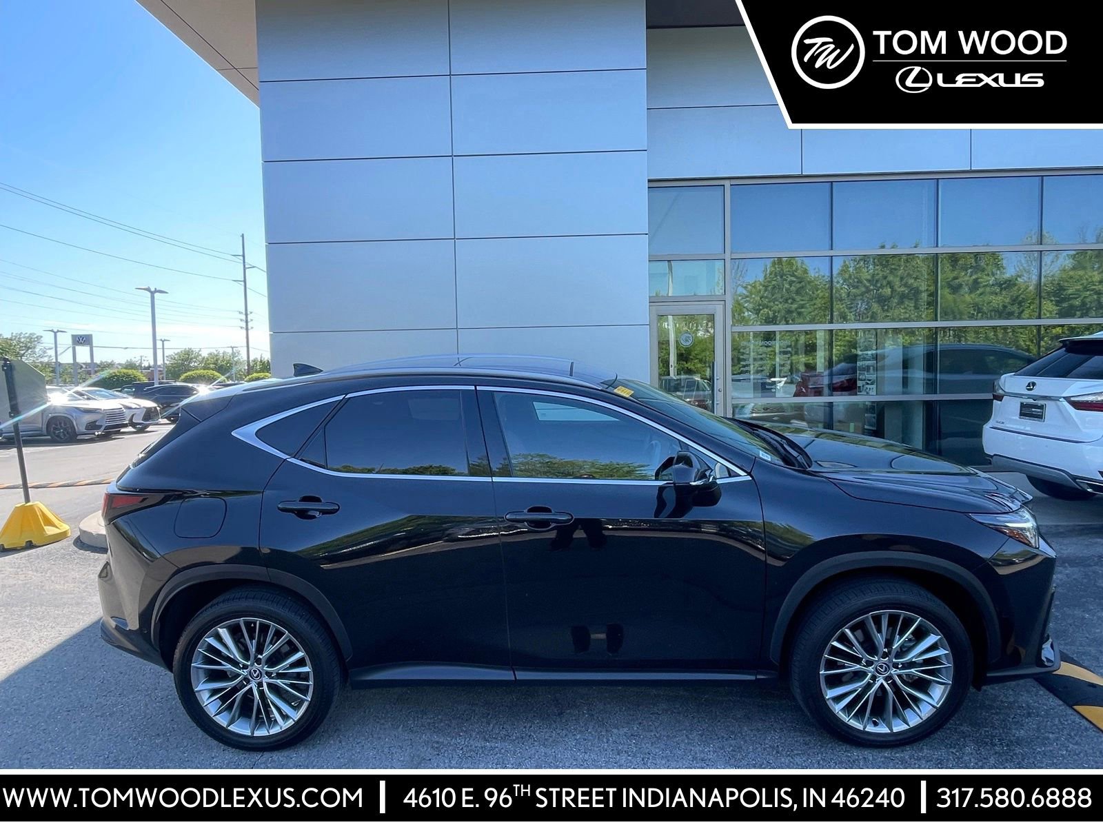 2024 Lexus NX 350h 350h Luxury AWD's photo