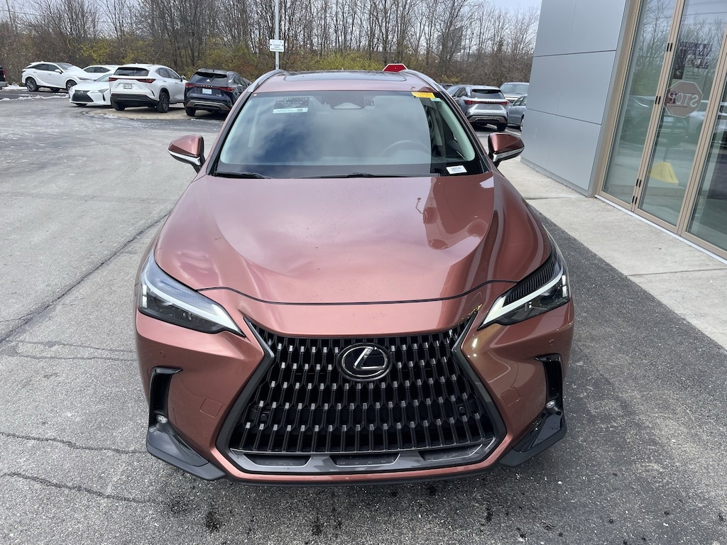 Certified 2025 Lexus NX 350 Base SUV