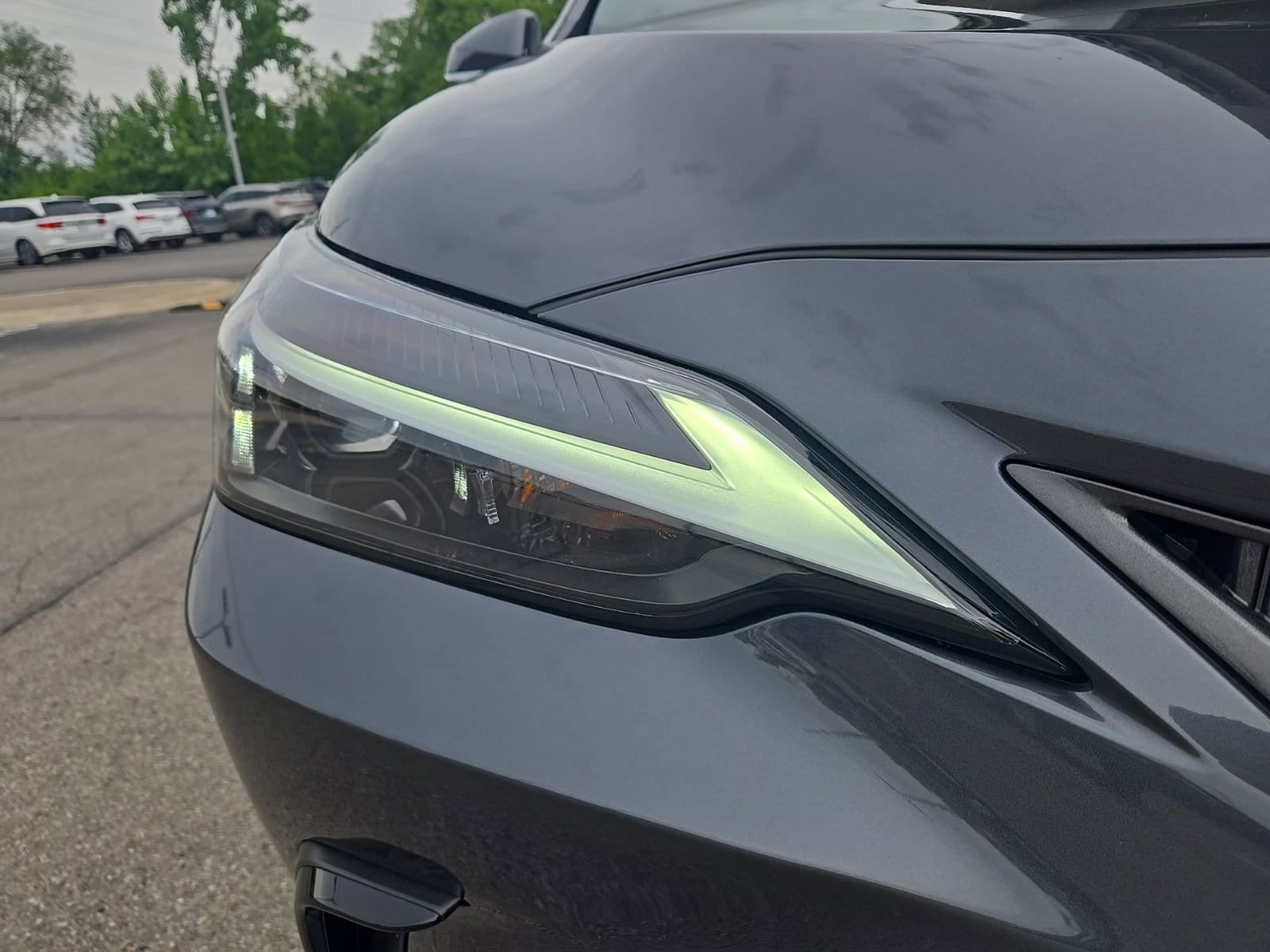Certified 2024 LEXUS NX For Sale Indianapolis IN | CPO LIT048208