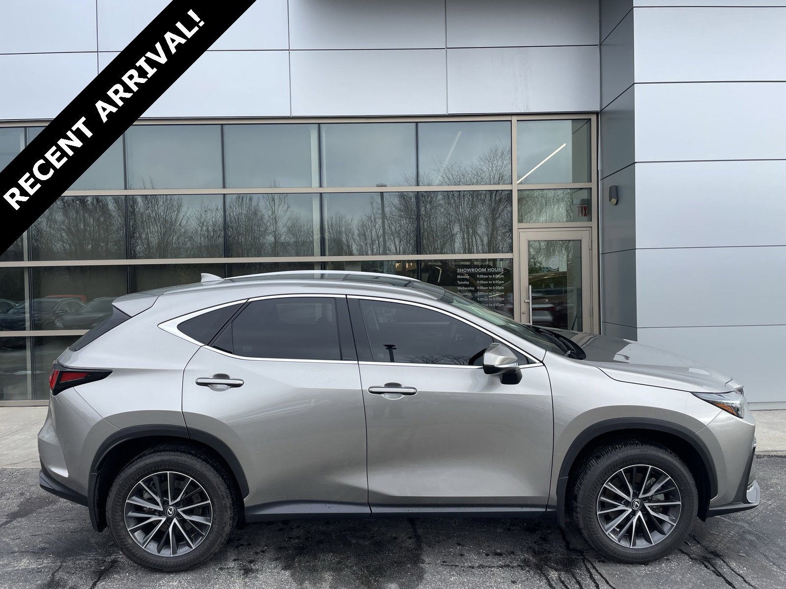 2024 Lexus NX Hybrid 350h's photo