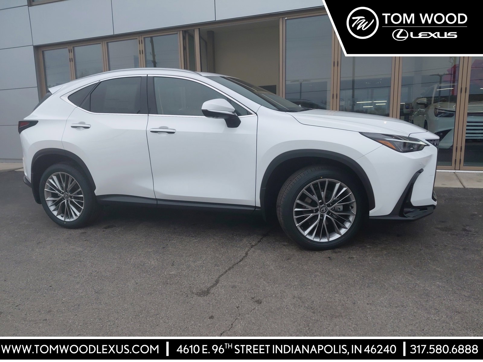 2026 Lexus NX 350's photo