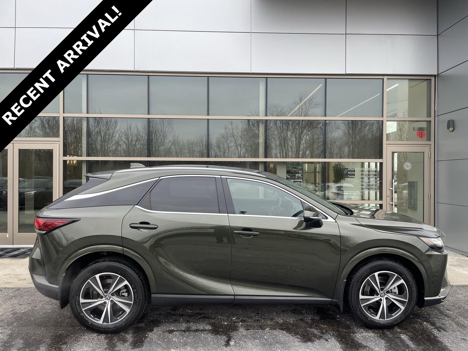2023 Lexus RX 350's photo