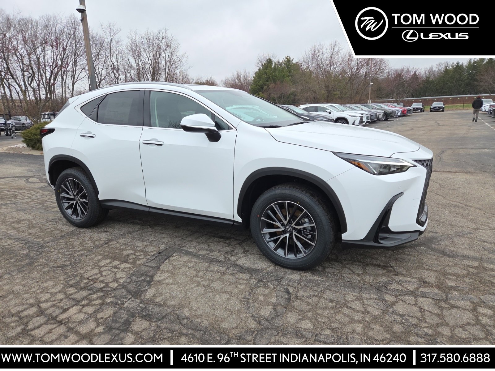 2026 Lexus NX Hybrid 350h's photo