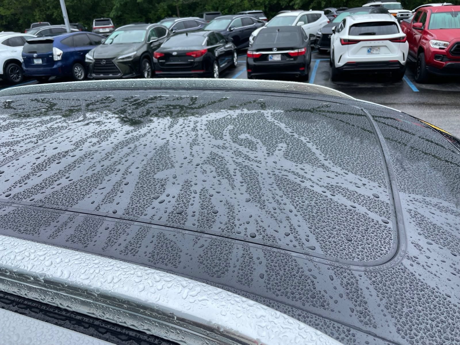 2018 Lincoln MKX Reserve - Photo 8
