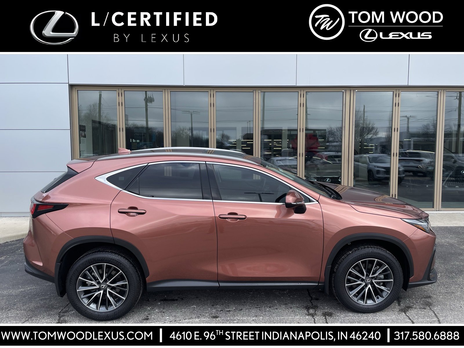 2025 Lexus NX 350's photo