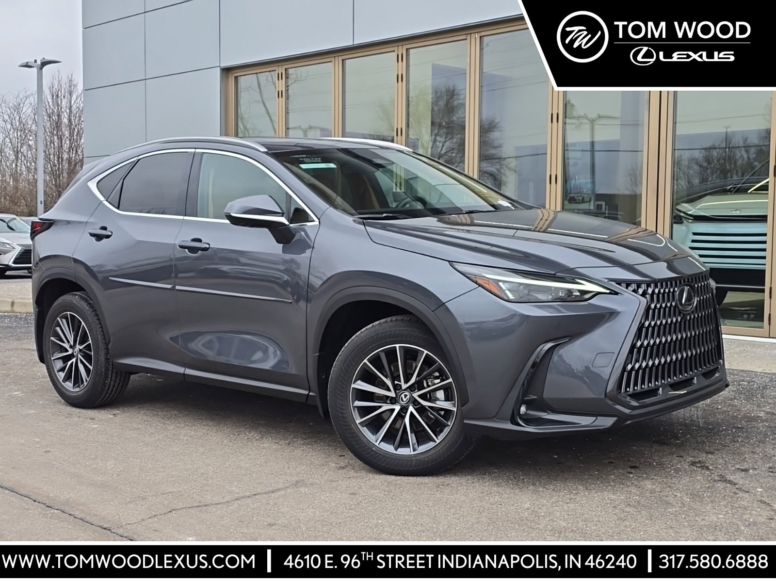 2025 Lexus NX 250's photo