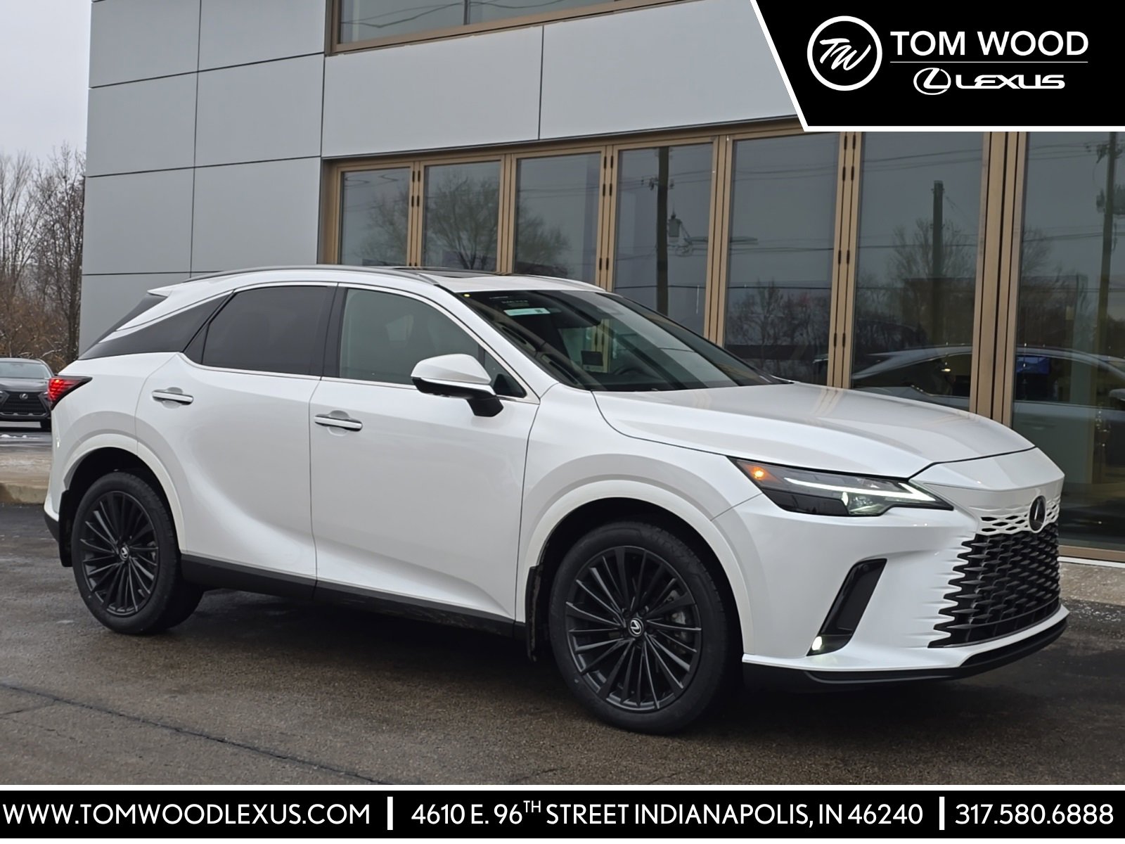2024 Lexus RX 350's photo